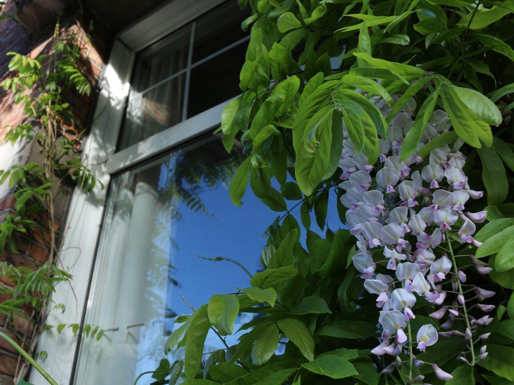 Ferienwohnung Studio Elisabeth Brügge Exterior foto